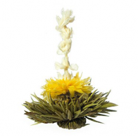 200 - ''Oriental Beauty'' Green Flowering Tea Bulbs