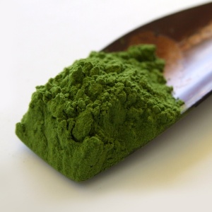 Ceremonial Grade Japanese Matcha Sachets - No.58