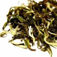 Singell Morning Mist - First Flush Darjeeling FTGFOP1 2019